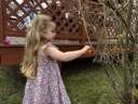 easter-2025-0007